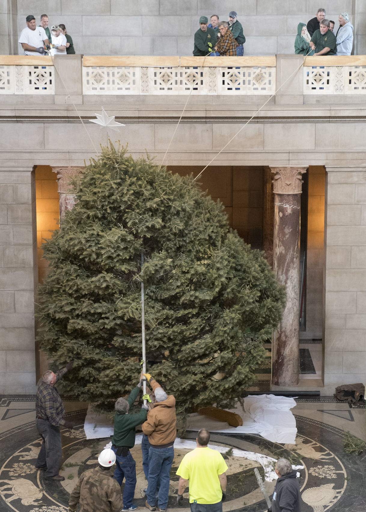 Capitol Christmas tree